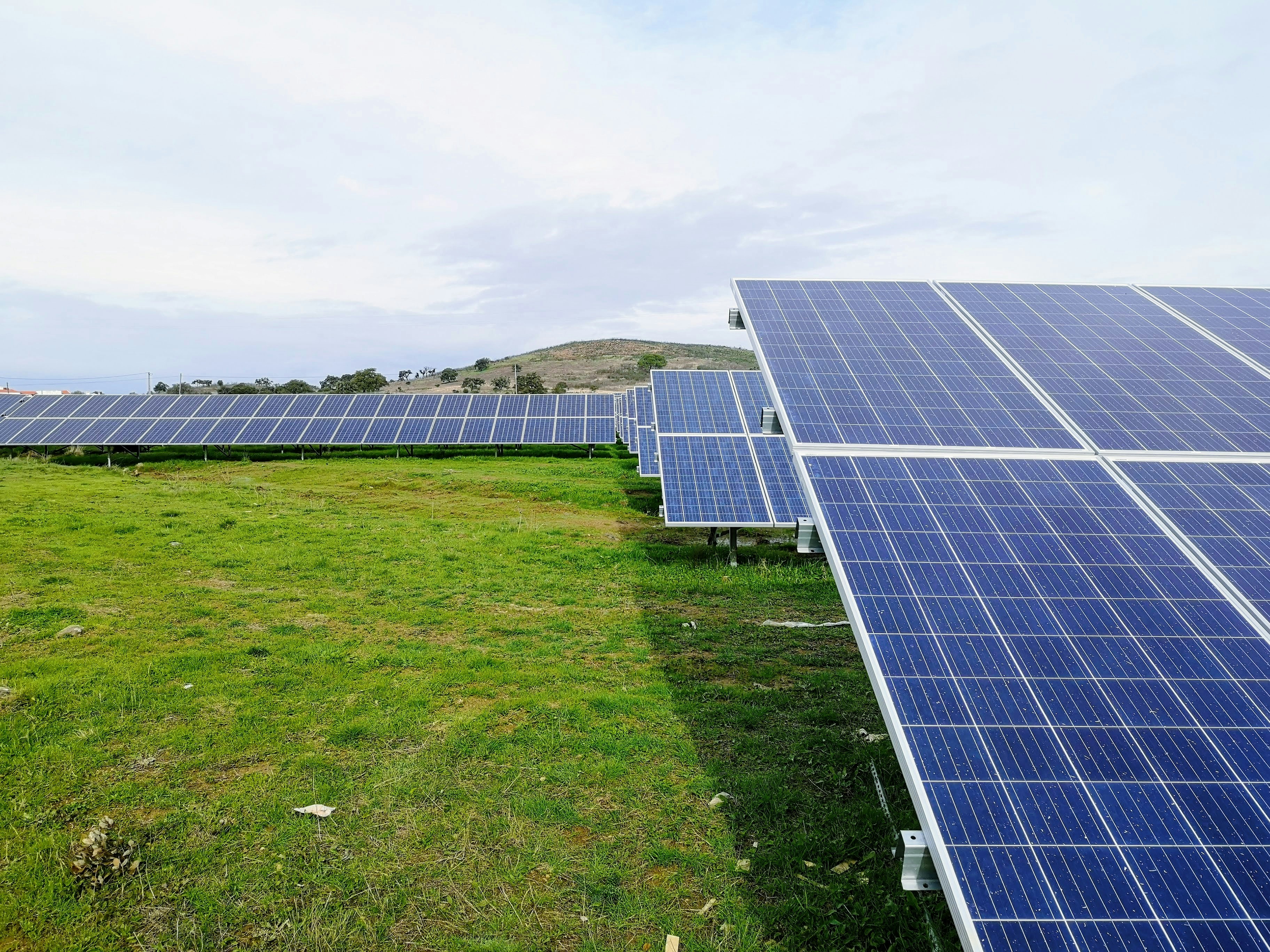 SEDA Certification: Why It Matters When Choosing a Solar Installer